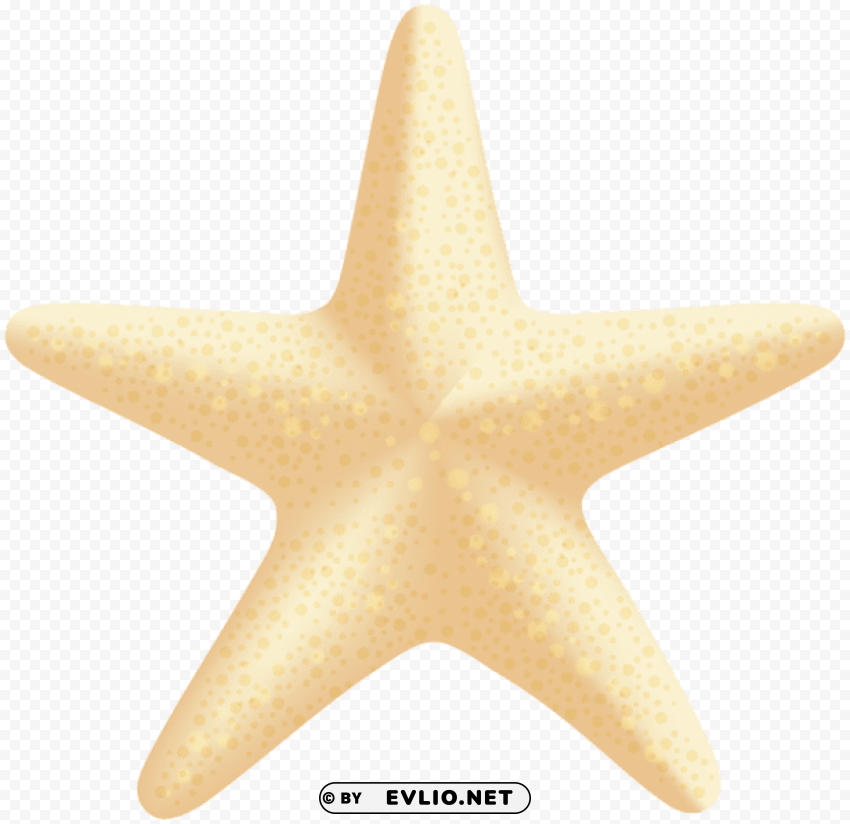 Sea Star Transparent Background Isolated PNG Icon