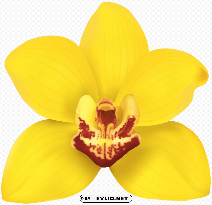 PNG image of yellow orchid PNG transparent design with a clear background - Image ID 77473034