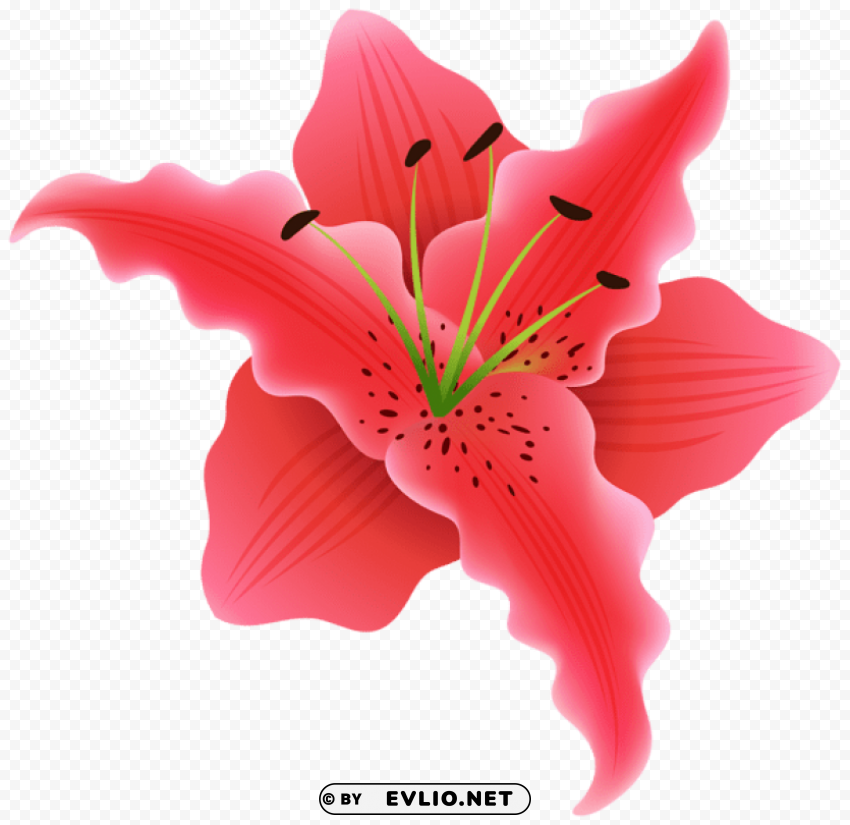 beautiful exotic flower Isolated Artwork on Transparent PNG