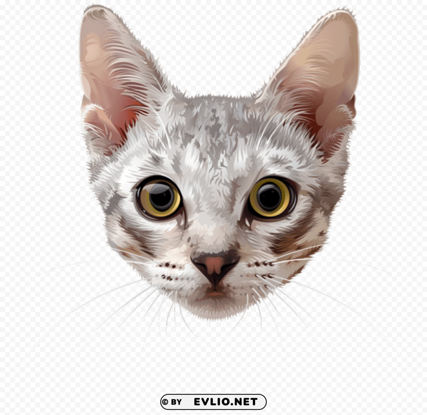 cat face PNG clipart