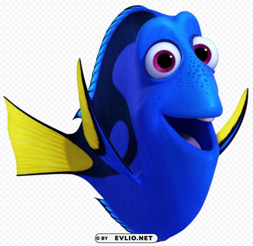 finding dory dory PNG images with transparent canvas comprehensive compilation