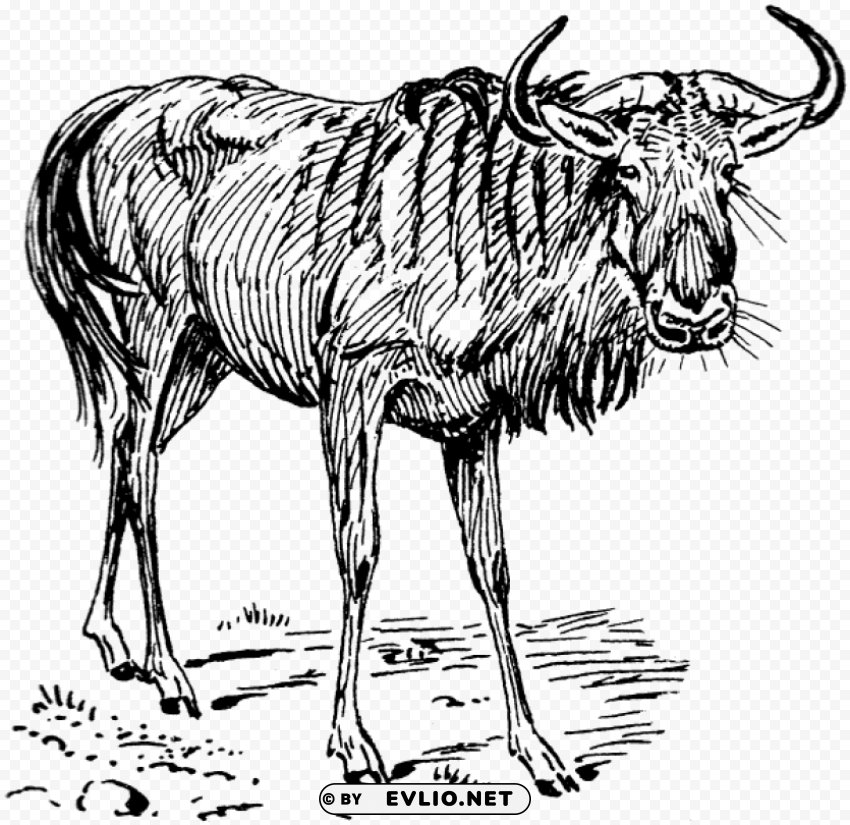 gnu drawing PNG Image with Transparent Isolated Graphic