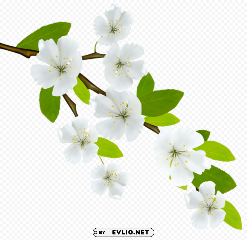 spring branch PNG Graphic with Isolated Design