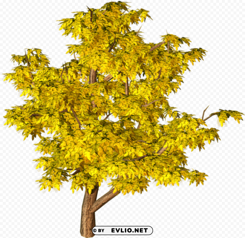 Yellow Fall Tree PNG Images Without BG
