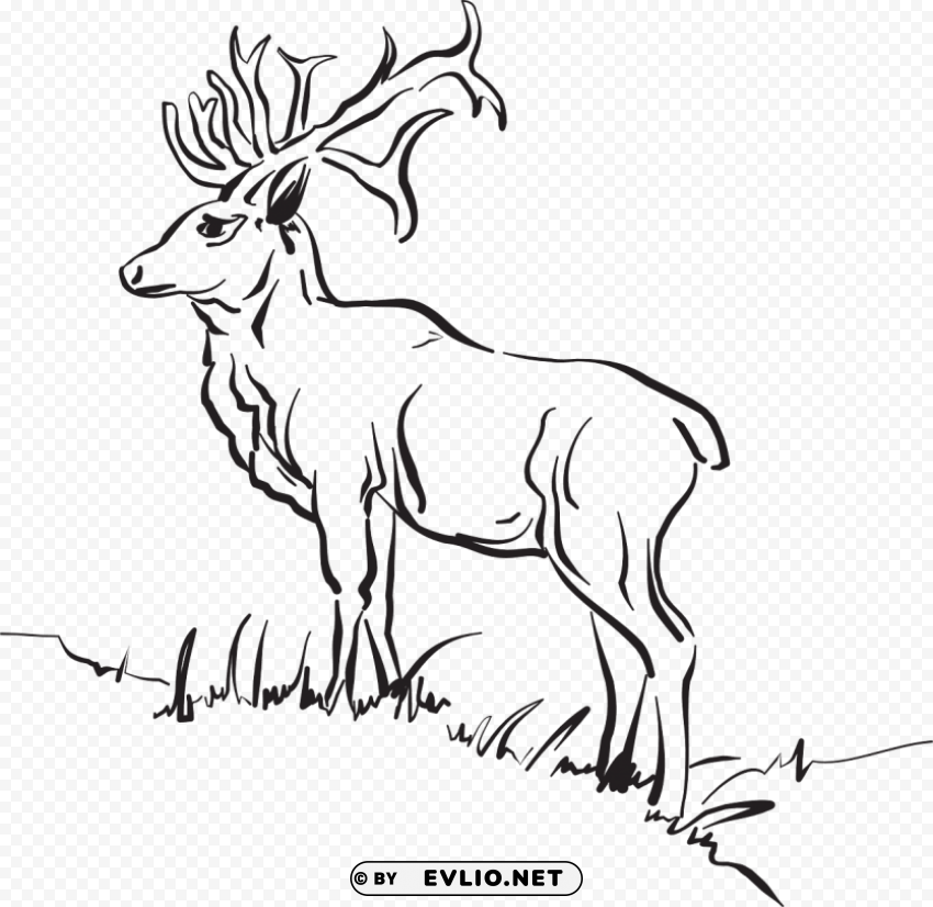 animals outline deer outline sketch High Resolution PNG Isolated Illustration