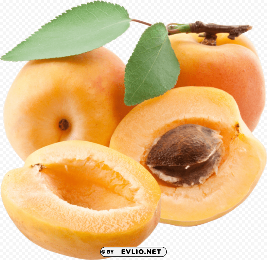 apricot Clear PNG images free download