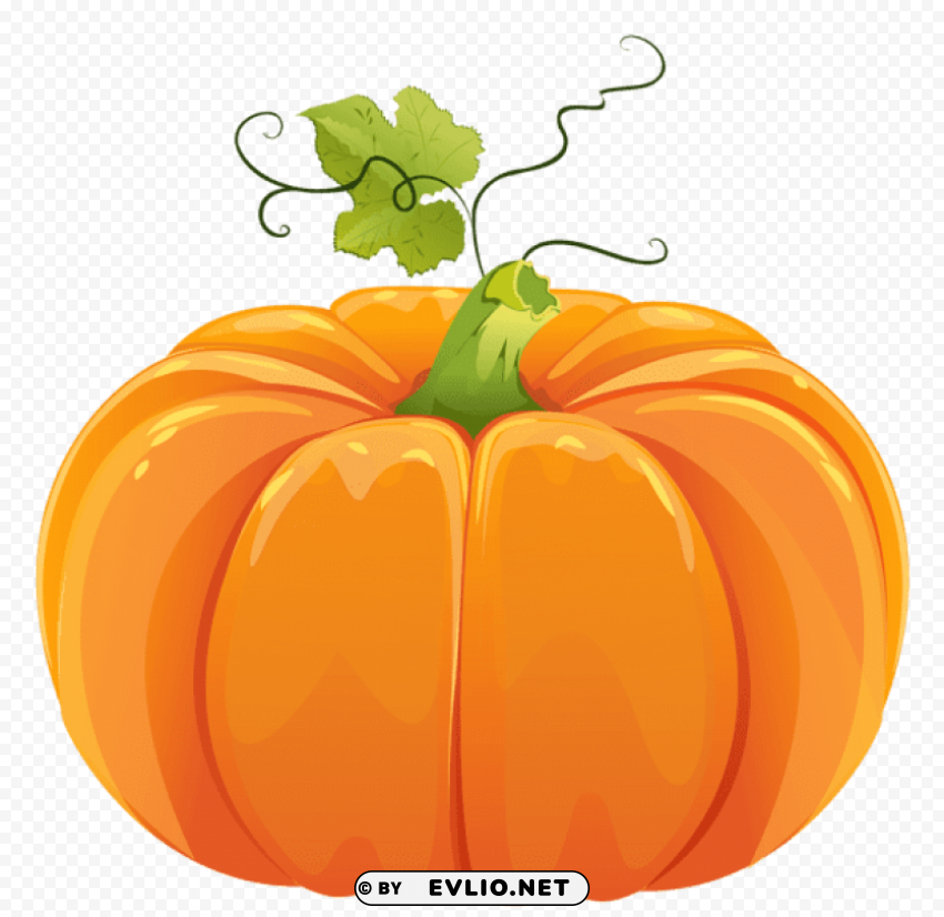 autumn pumpkin HighQuality PNG Isolated Illustration