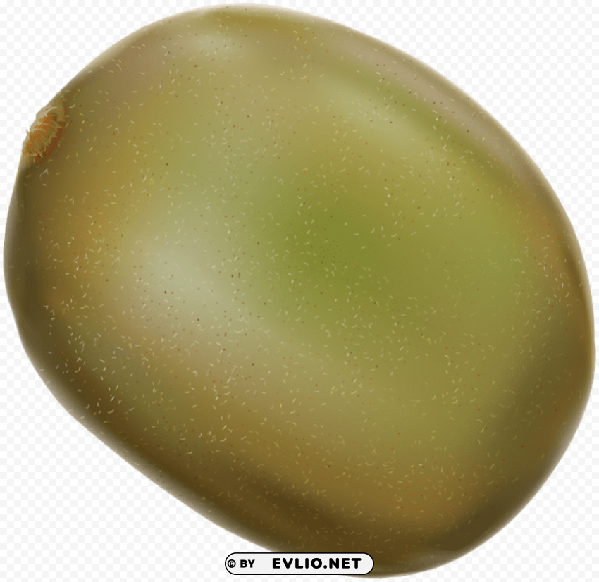 kiwi transparent Free PNG images with alpha transparency