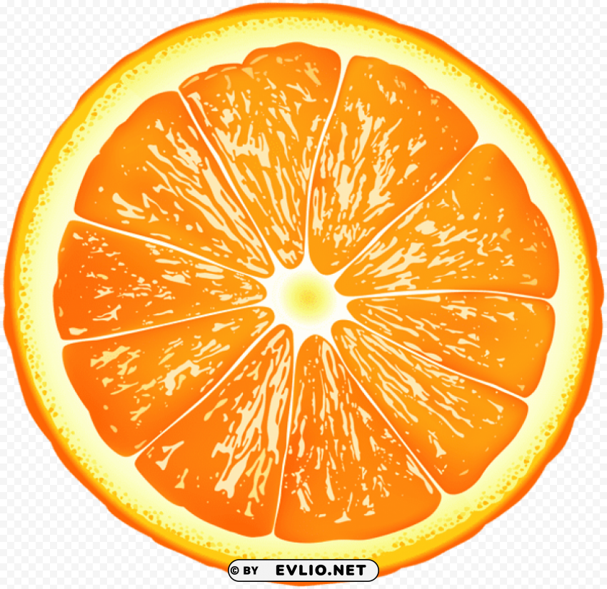 orange slice PNG transparent graphics for download