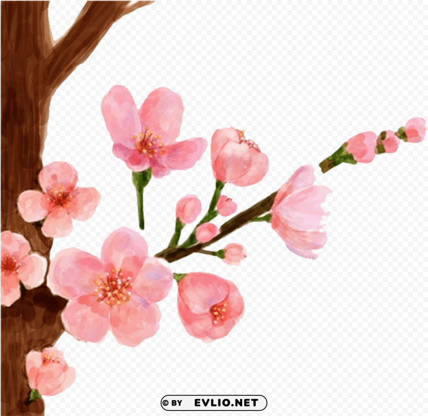 peach blossom flower drawing ClearCut Background PNG Isolated Item