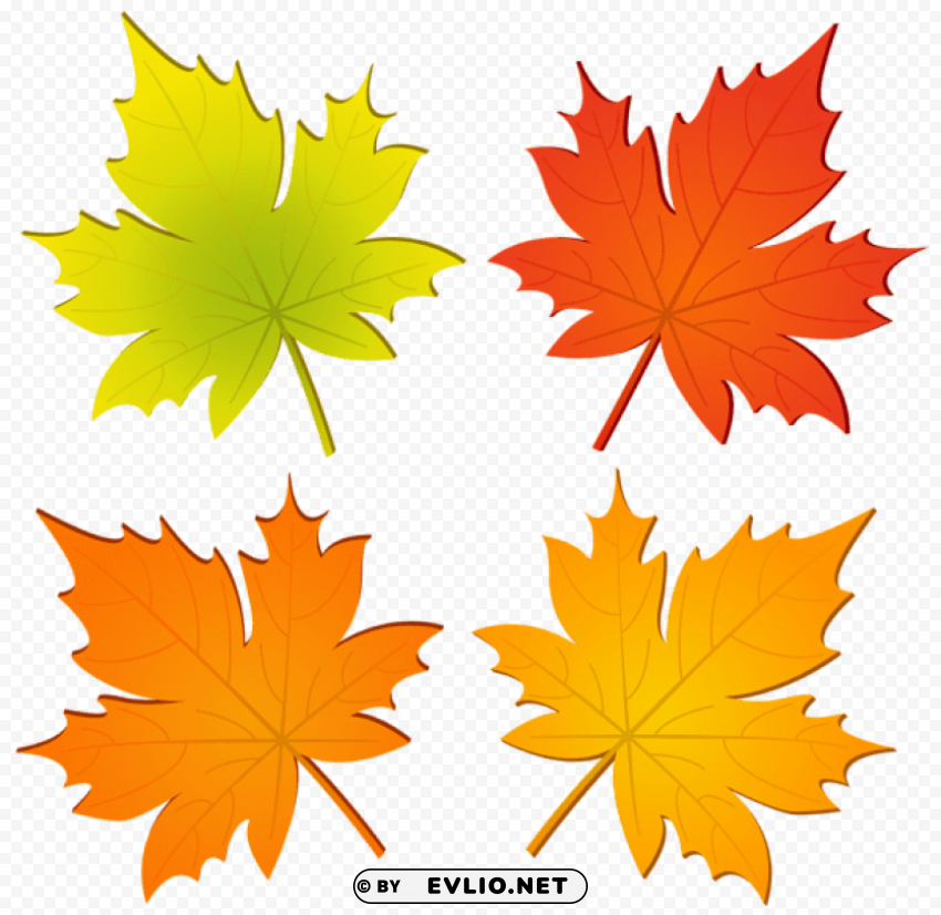 set of autumn leaves PNG Image with Isolated Element