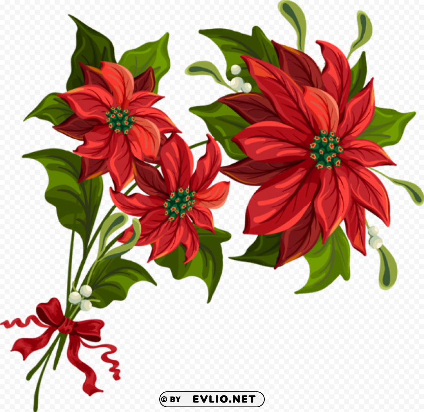  christmas poinsettia Transparent background PNG clipart