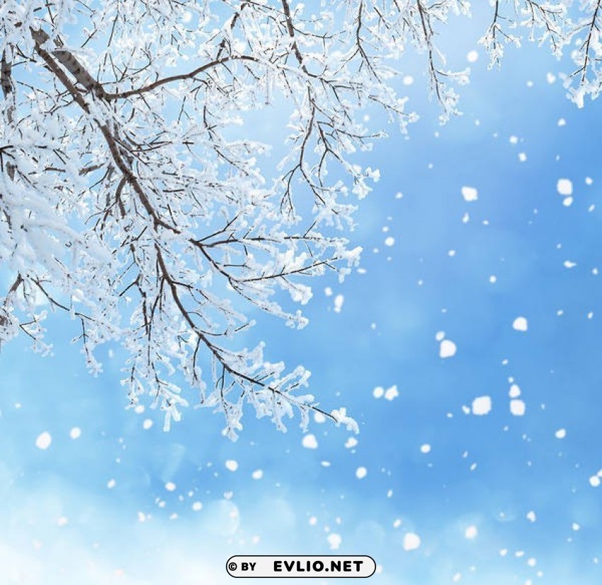 winterwith branches PNG Image with Clear Background Isolated