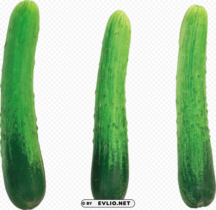 cucumber High-resolution PNG images with transparent background