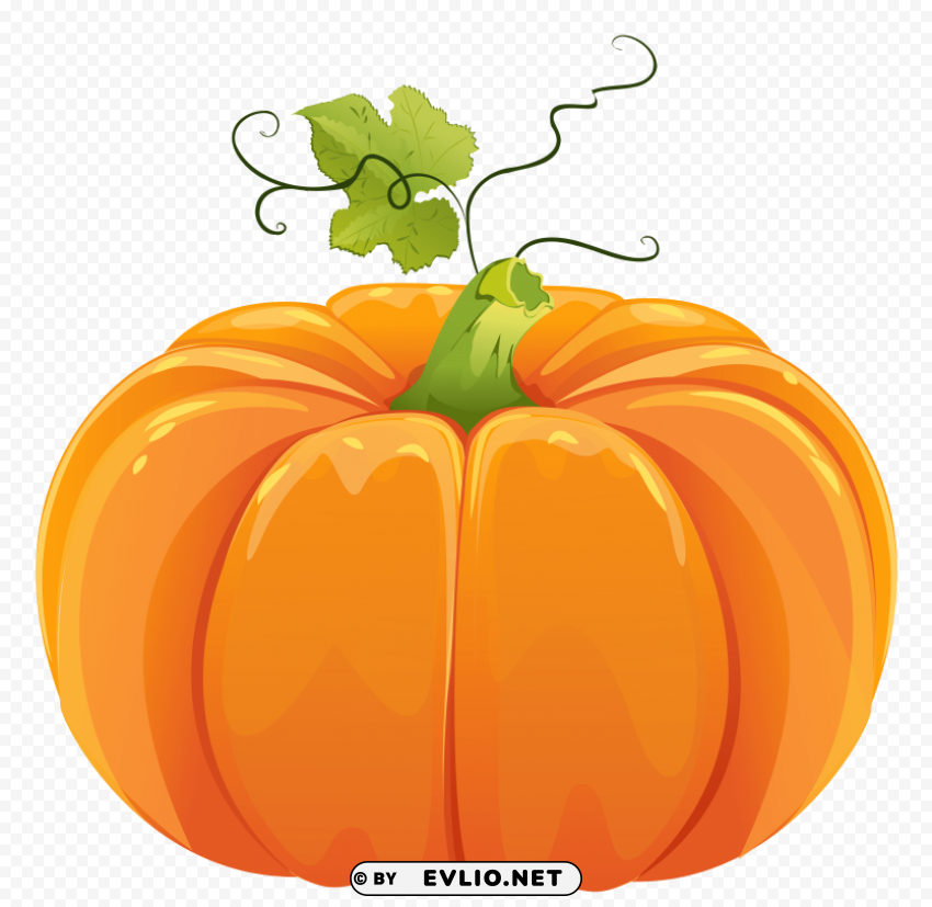 pumpkin Isolated Item on Transparent PNG Format
