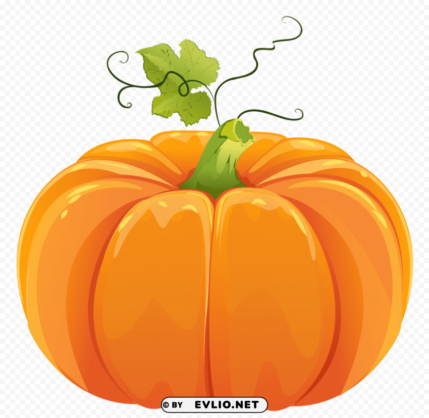 Pumpkin Isolated Item On Transparent PNG Format