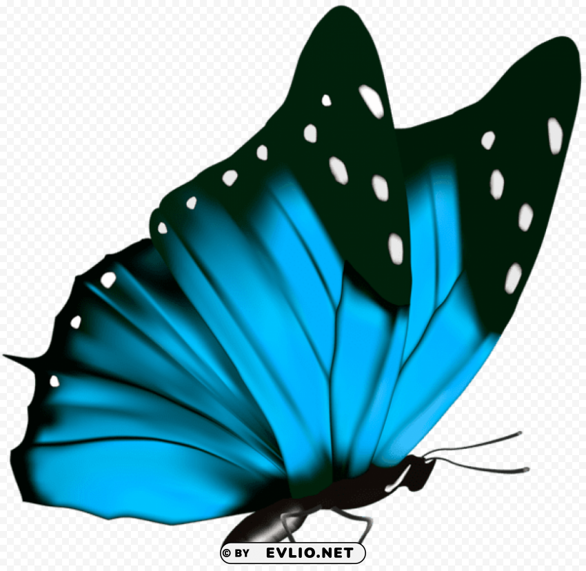butterfly Isolated Character in Transparent PNG Format clipart png photo - 81bc3022