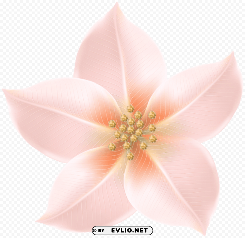 Flower Decorative PNG Transparent Graphics For Download