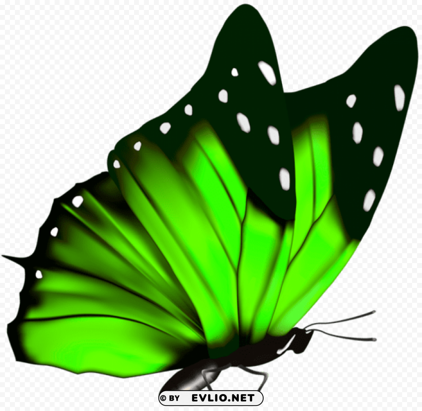 Green Butterfly Isolated Character On Transparent Background PNG