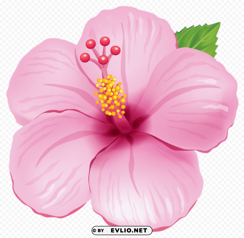 PNG image of pink exotic flowerpicture PNG for overlays with a clear background - Image ID f2d31beb