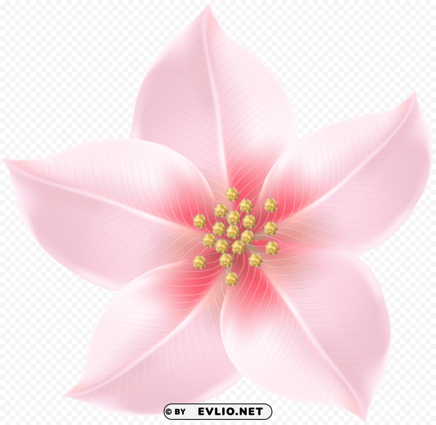 pink flower decorative PNG transparent elements package