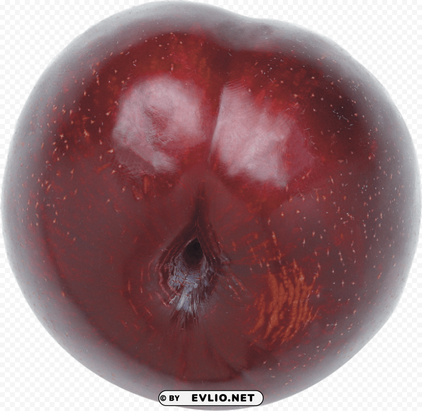 plum Isolated Graphic on Transparent PNG