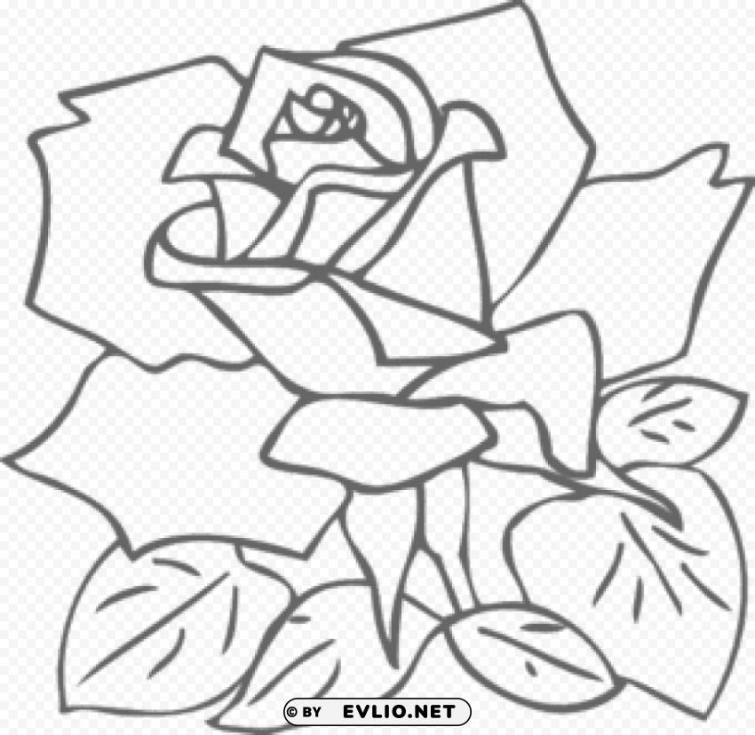  rose outline s Isolated Design Element in PNG Format clipart png photo - 45fae9d9