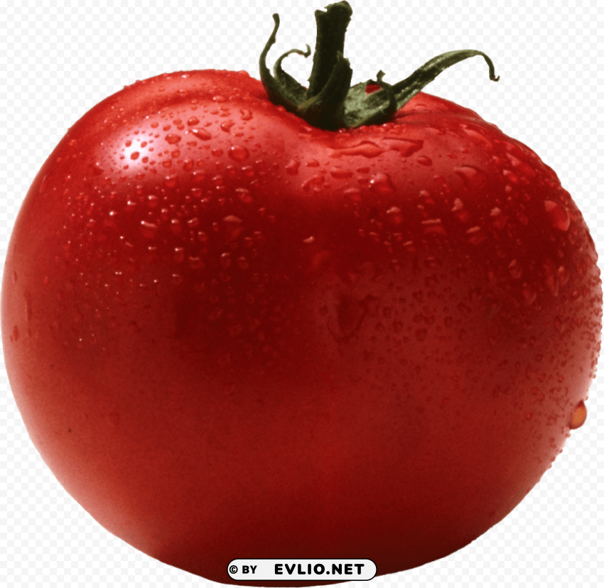 red tomato Transparent PNG images set