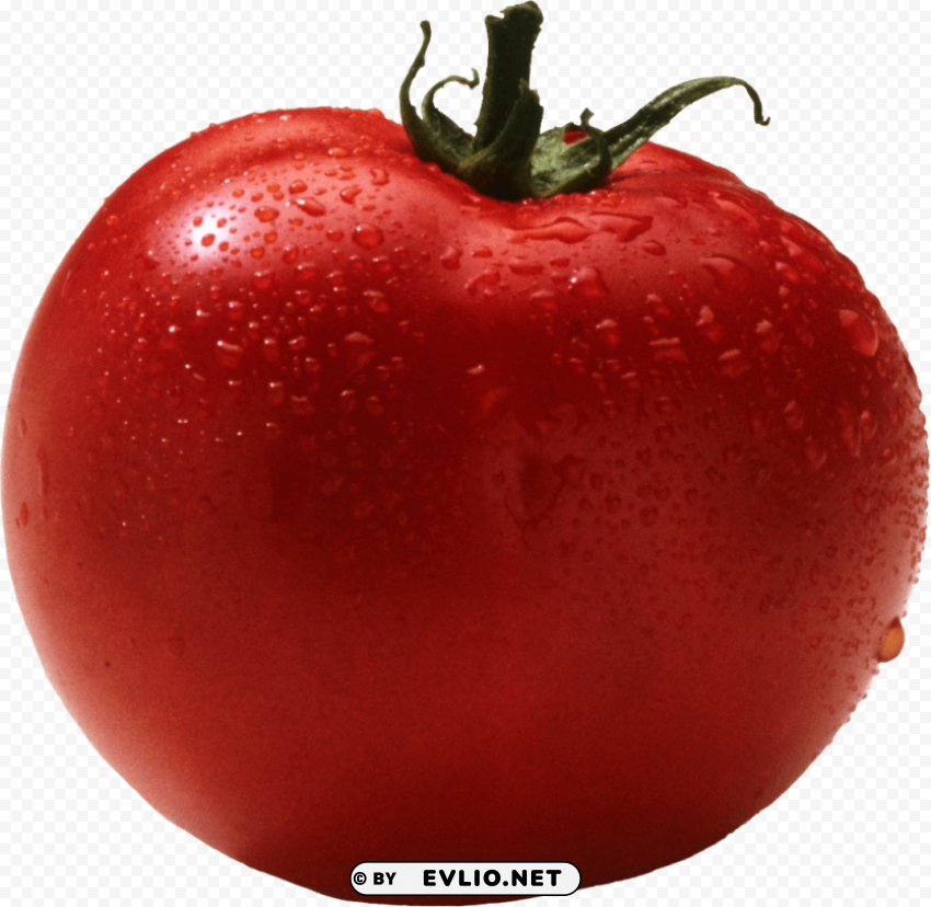 red tomatoes PNG transparent elements complete package