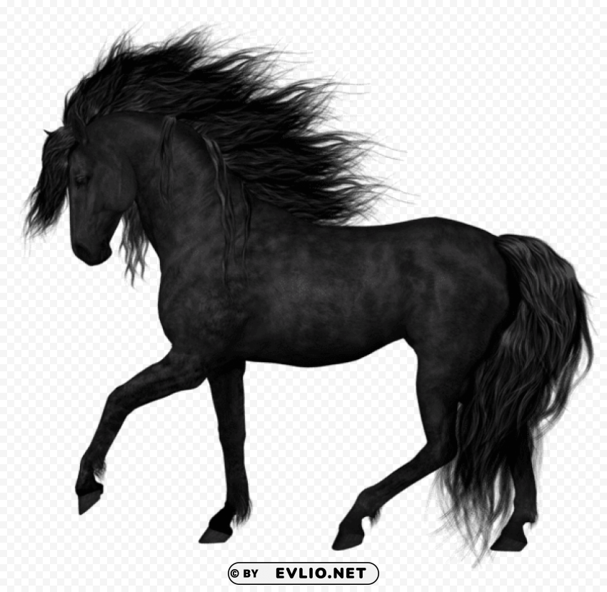 Black Horsepicture PNG For Online Use