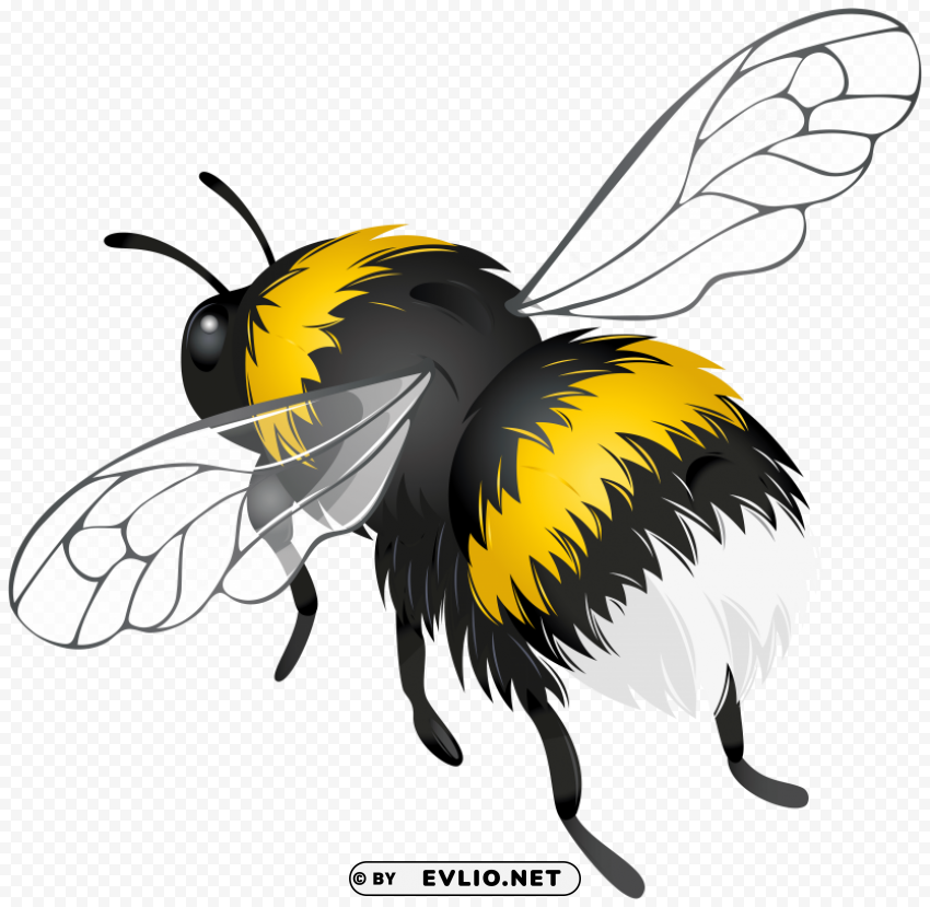 flying bee PNG images with clear alpha channel broad assortment