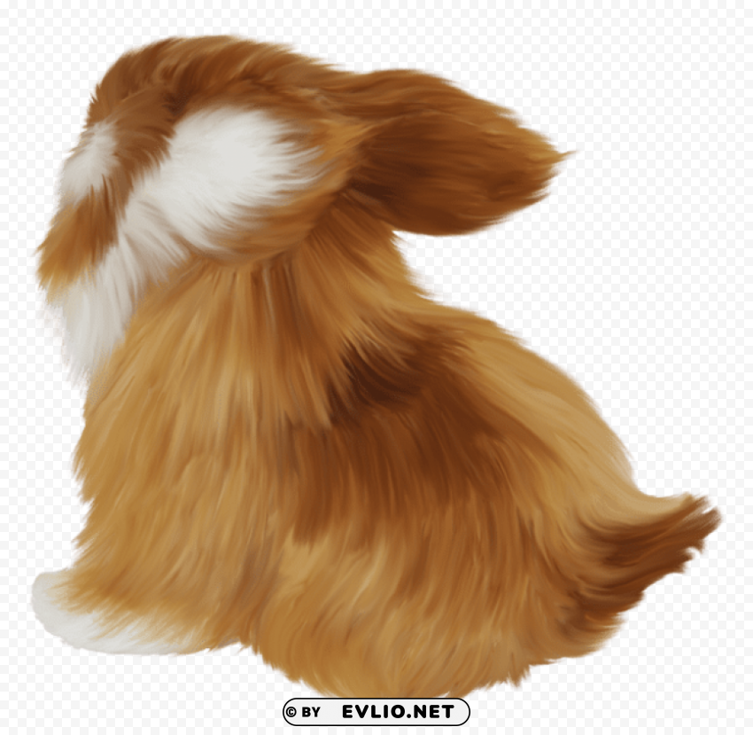rabit Isolated Graphic Element in Transparent PNG
