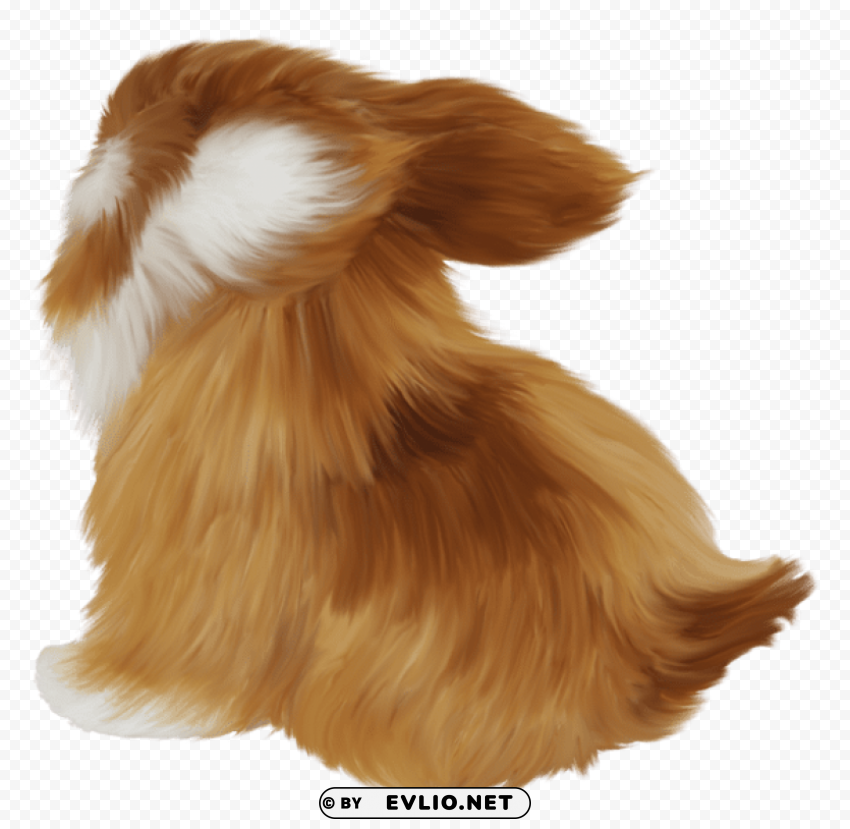 Rabit Isolated Graphic Element In Transparent PNG