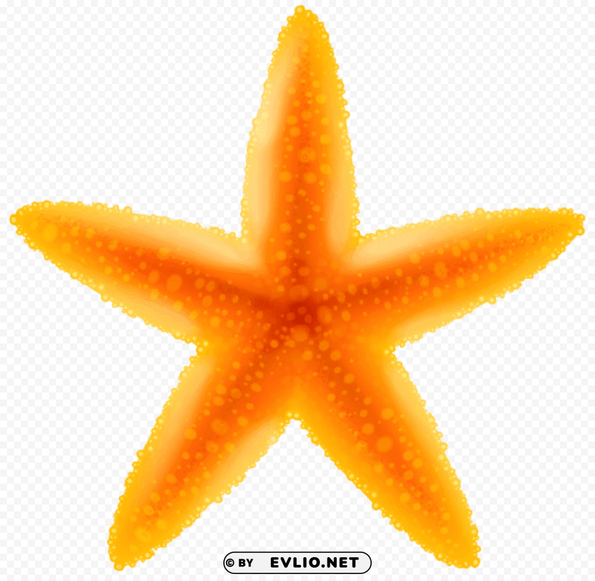 starfish Transparent Background Isolated PNG Figure