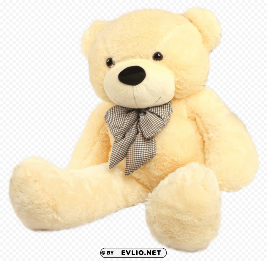 teddy bear Transparent Background Isolation in PNG Format