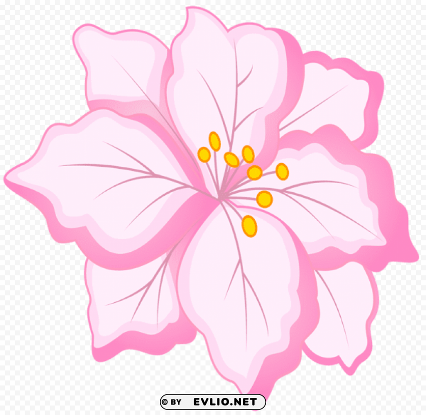 white pink flower PNG graphics with alpha channel pack