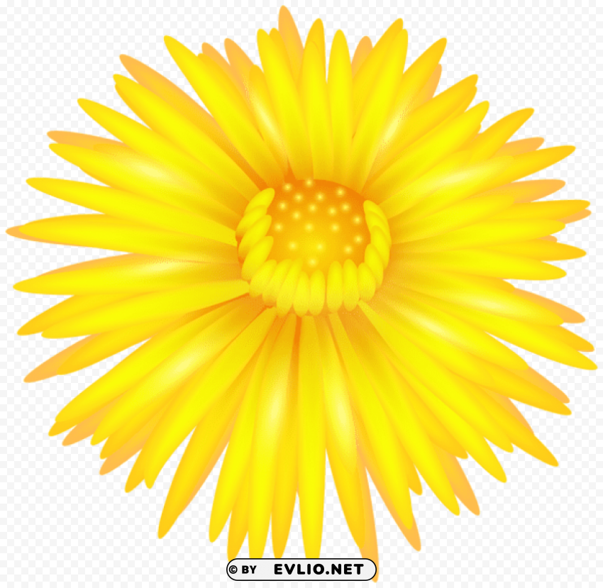 Yellow Flower Isolated PNG Object With Clear Background