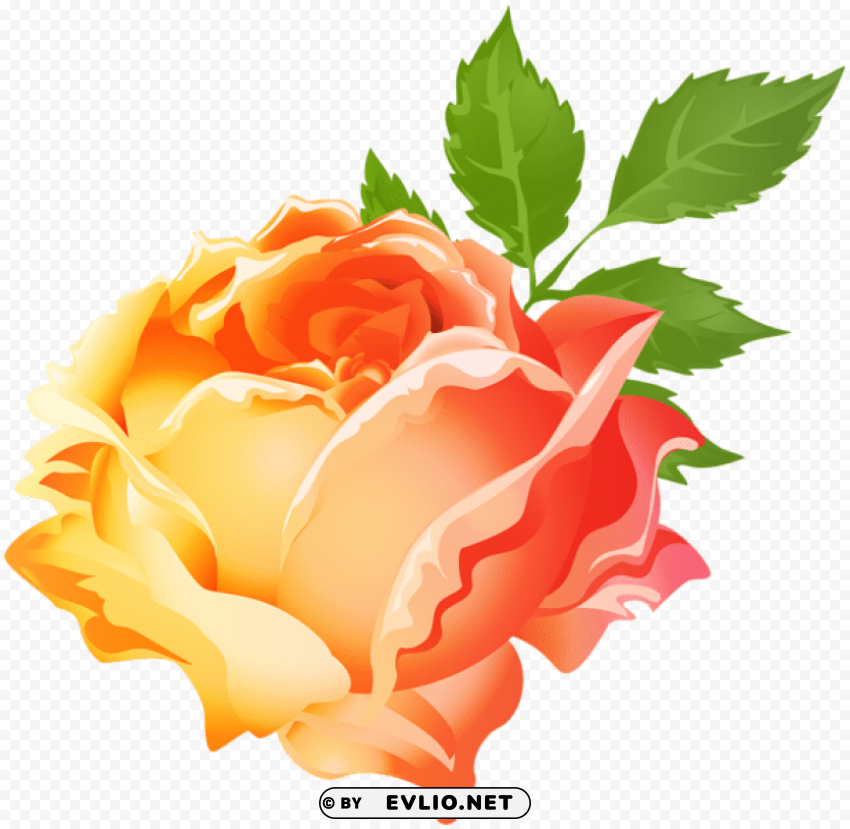 PNG image of yellow orange rose PNG clipart with transparency with a clear background - Image ID 8f468d4f