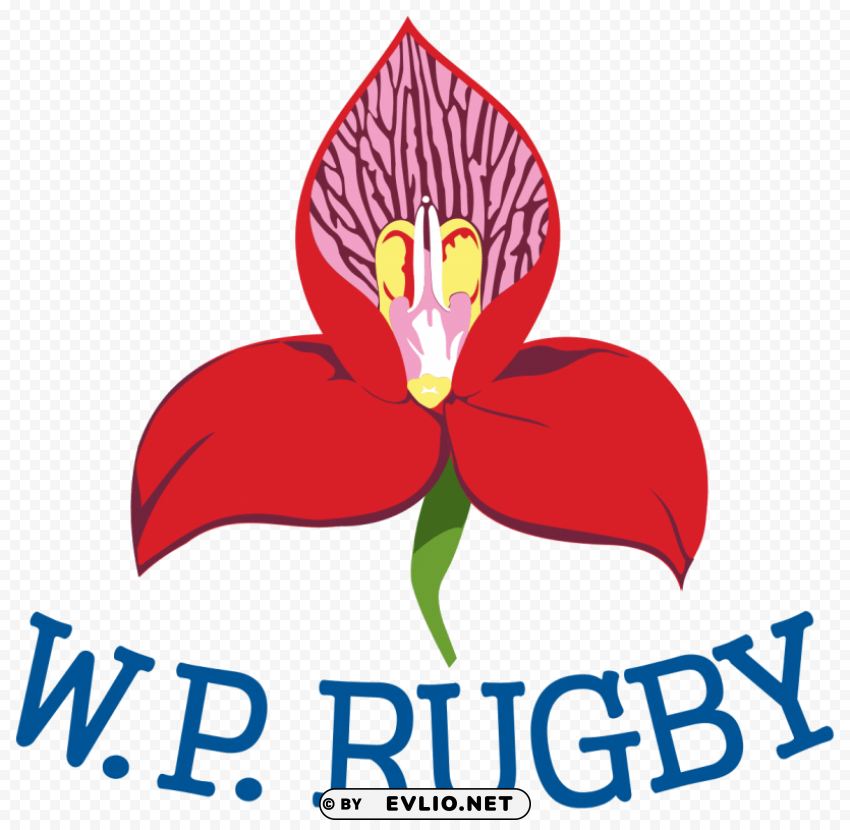 western province rugby logo Transparent picture PNG