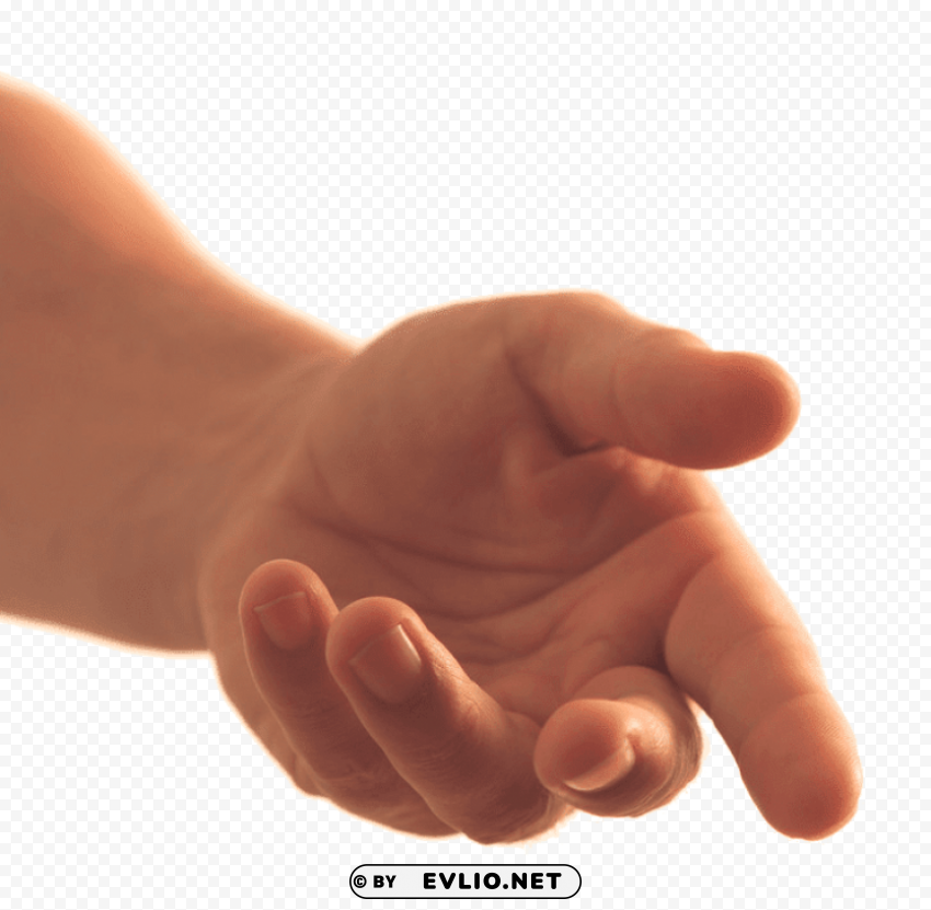 asking hand Clean Background Isolated PNG Character