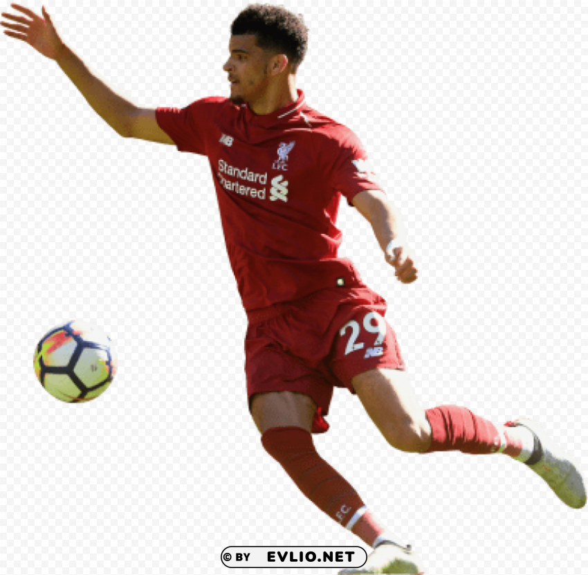 dominic solanke Isolated Element in Clear Transparent PNG