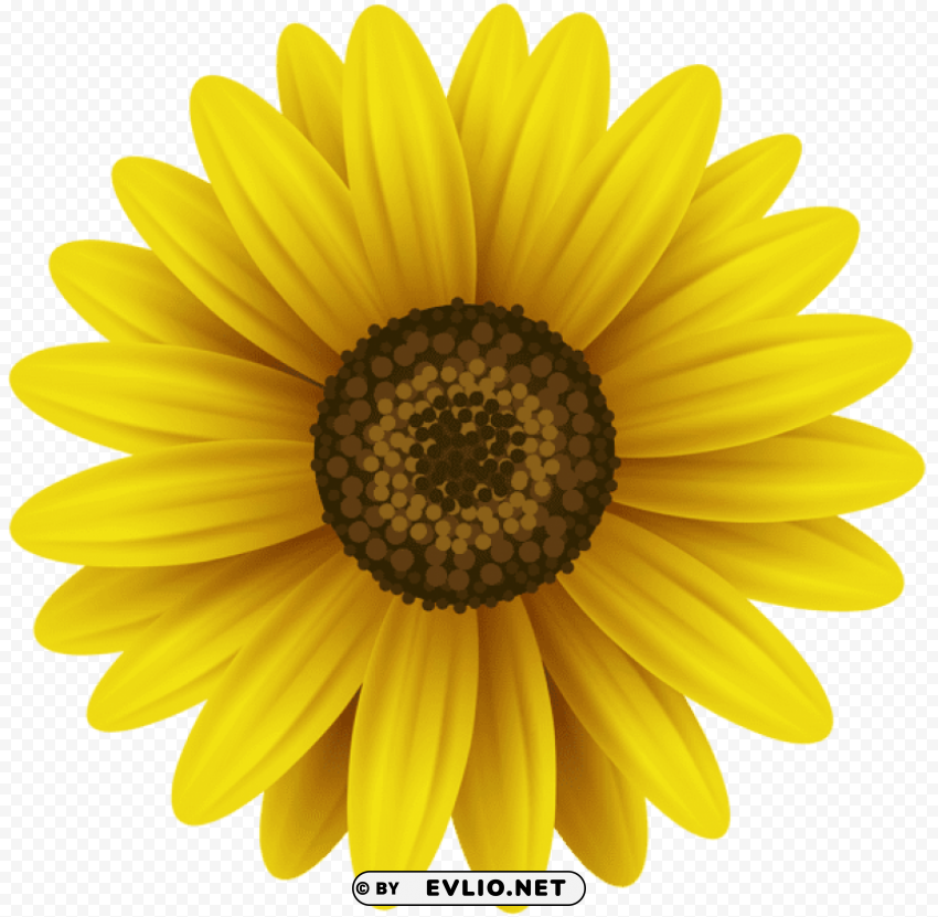 flower yellow PNG file with alpha