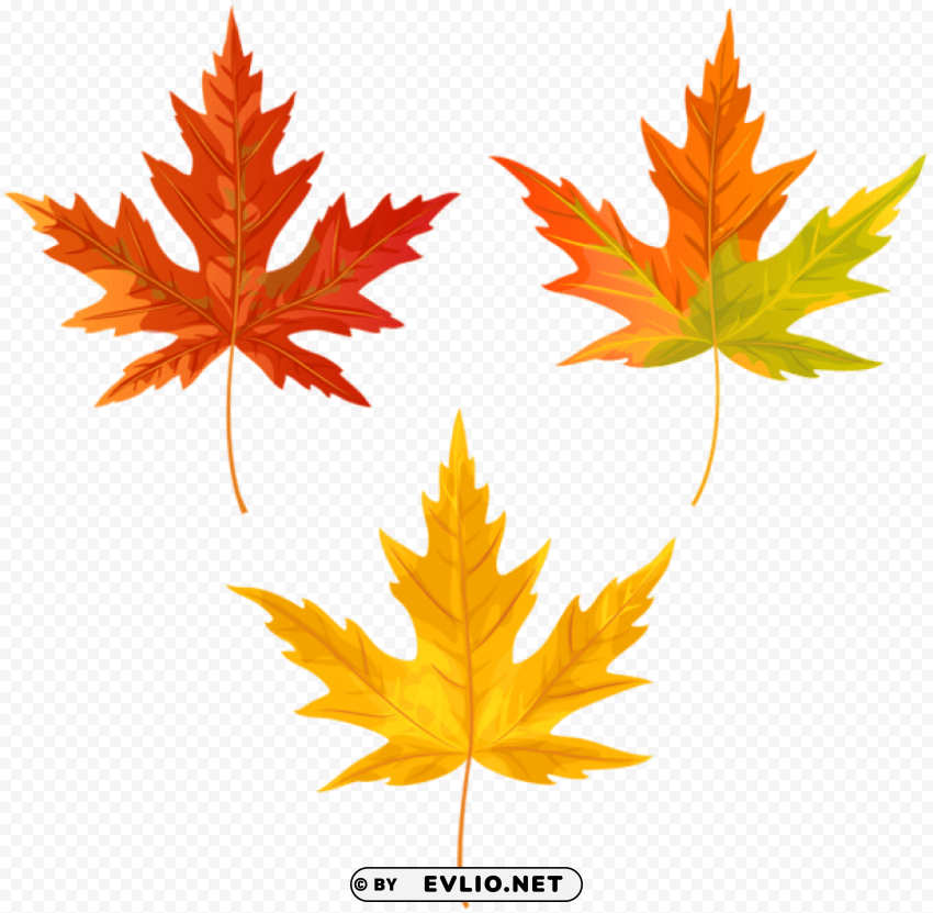 orange fall leaves PNG Image with Clear Background Isolation