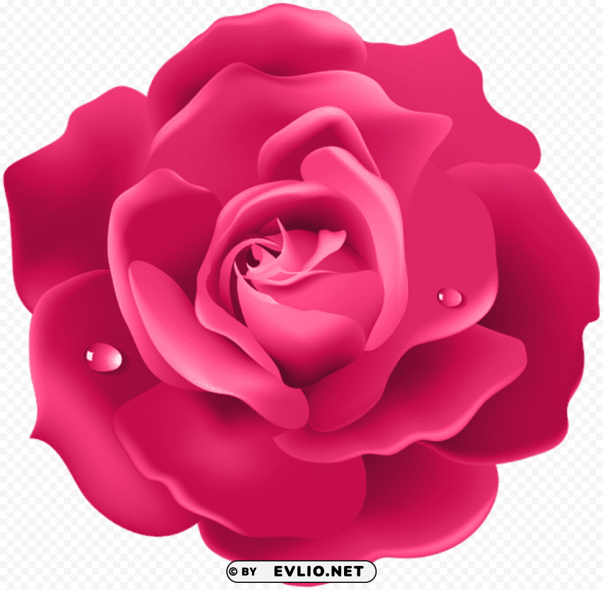 pink rose PNG images for printing