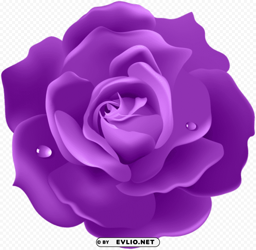 PNG image of purple rose PNG images with alpha transparency layer with a clear background - Image ID 8373a3ef