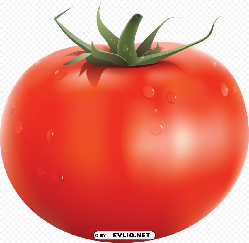 red tomatoes Clear Background PNG with Isolation