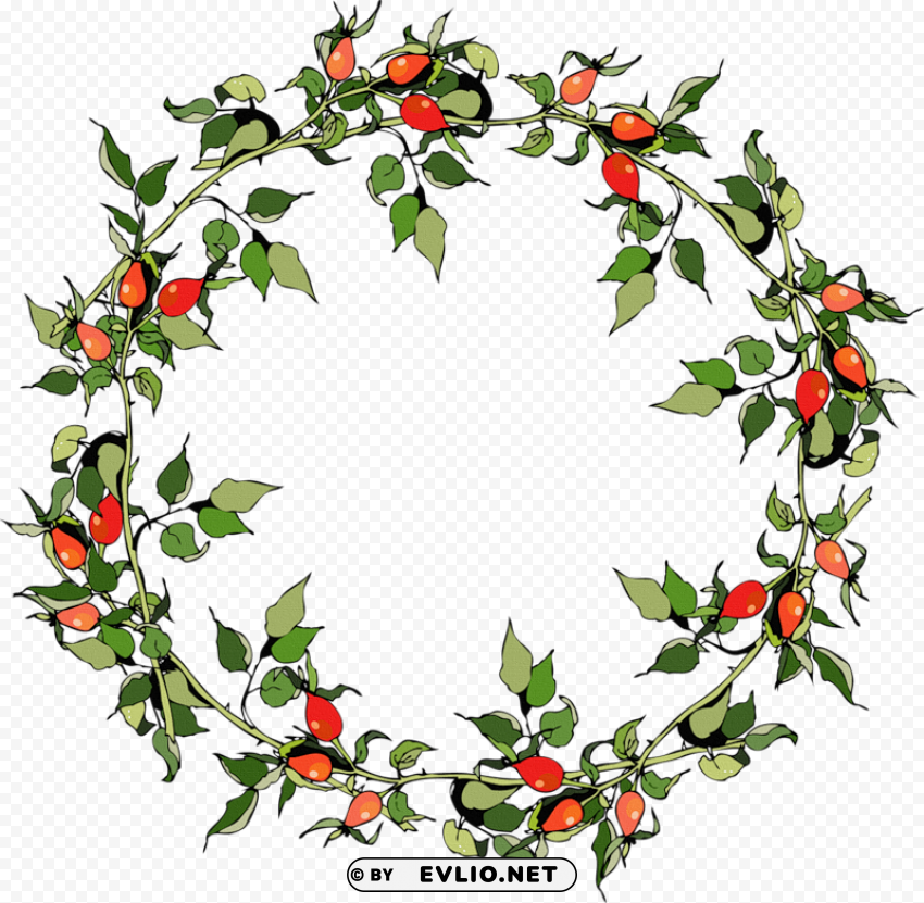 rose hips christmas frames - vector graphics Isolated Character on Transparent PNG
