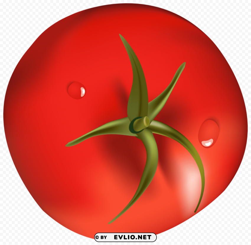 tomato PNG clipart with transparent background