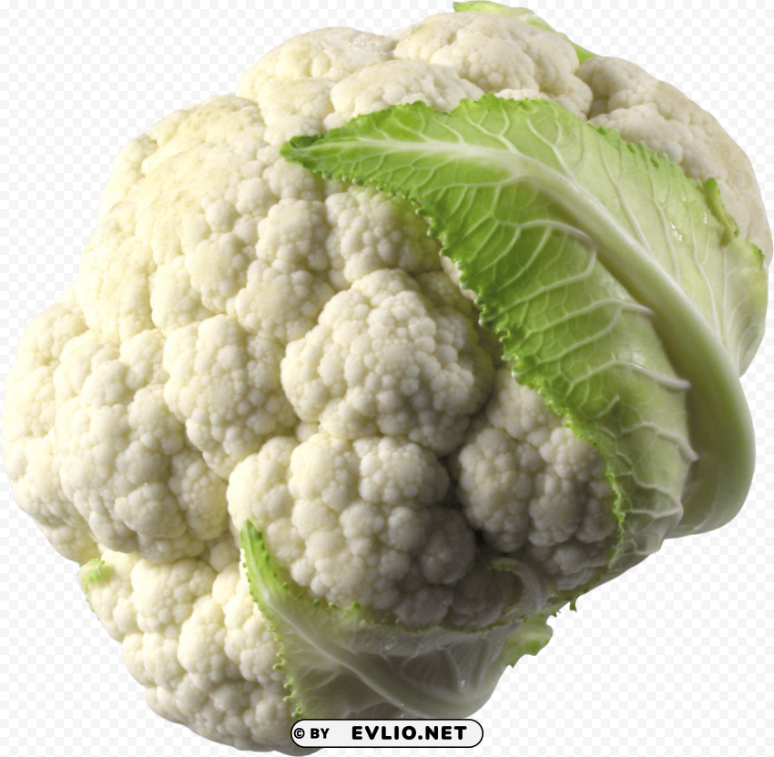 cauliflower Clear PNG pictures bundle