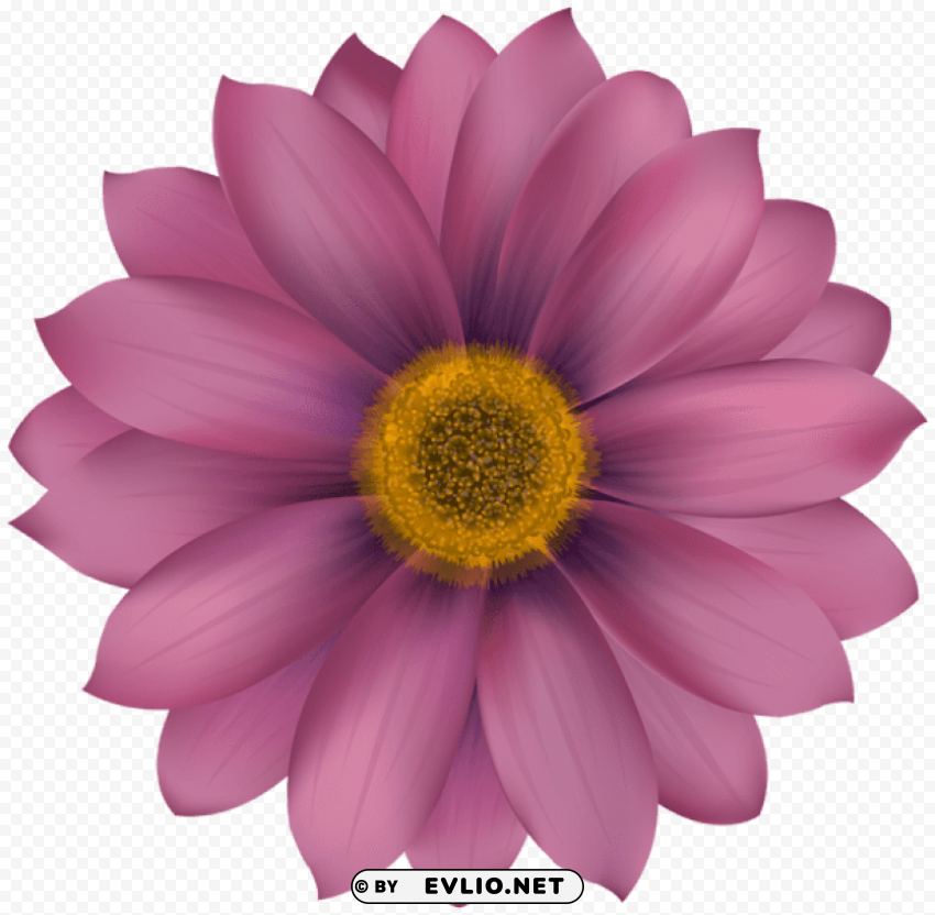 flower PNG images with clear alpha channel broad assortment